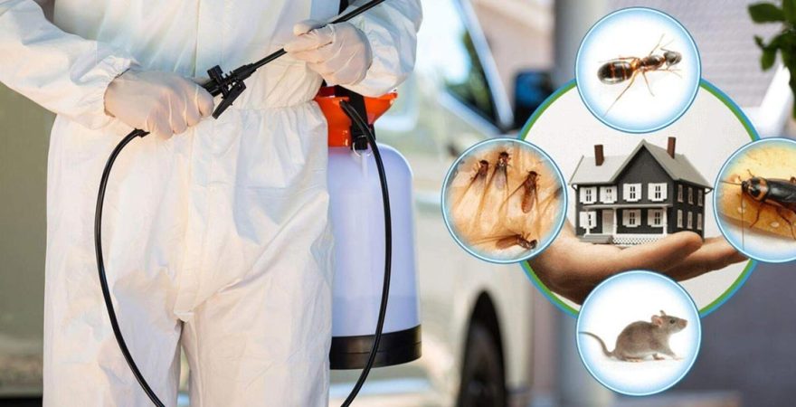 Sincan Böcek İlaçlama