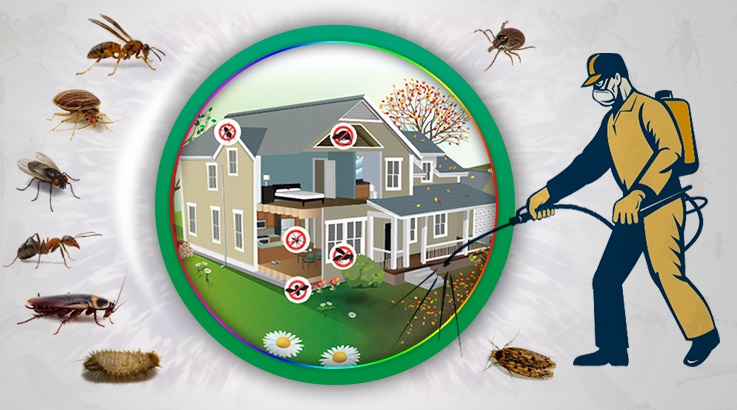 Sincan Böcek İlaçlama