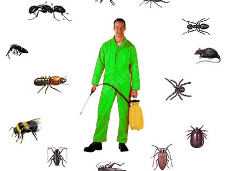 Sincan Böcek İlaçlama